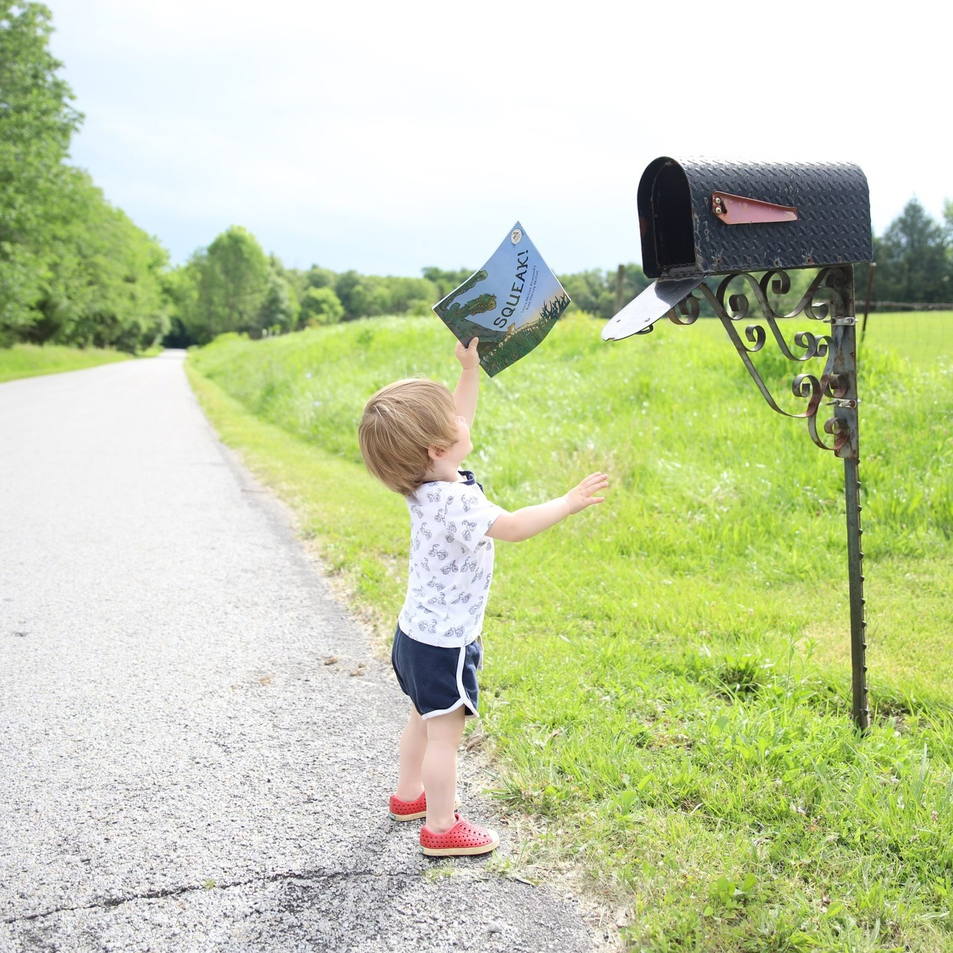 Child getting book from mail box